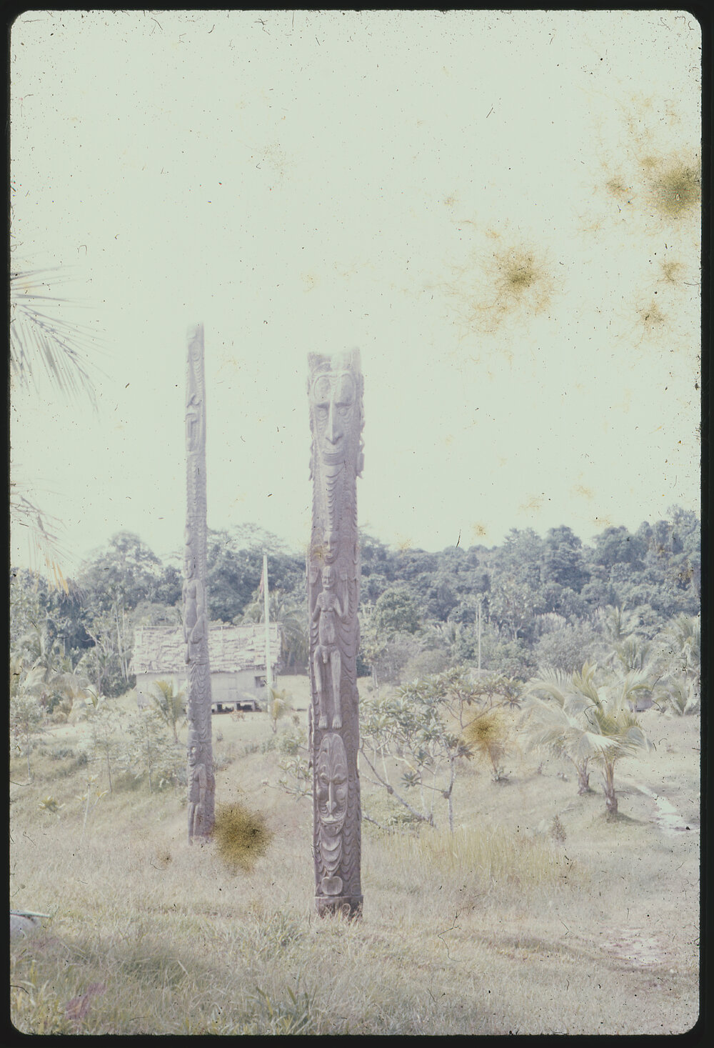 Carved Wooden Posts