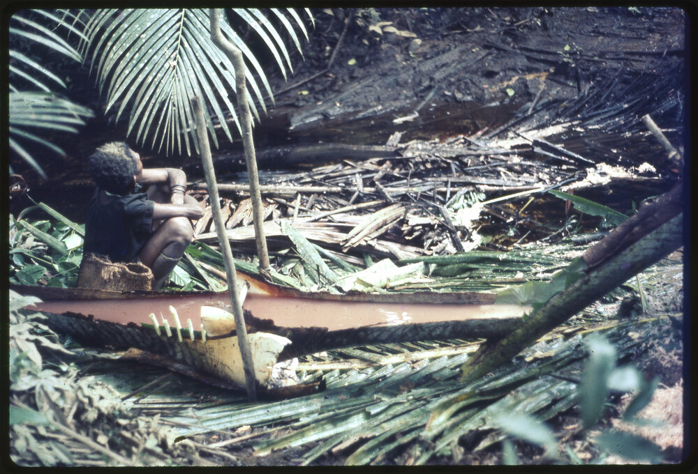 Woman Beside Felled Sago Palm