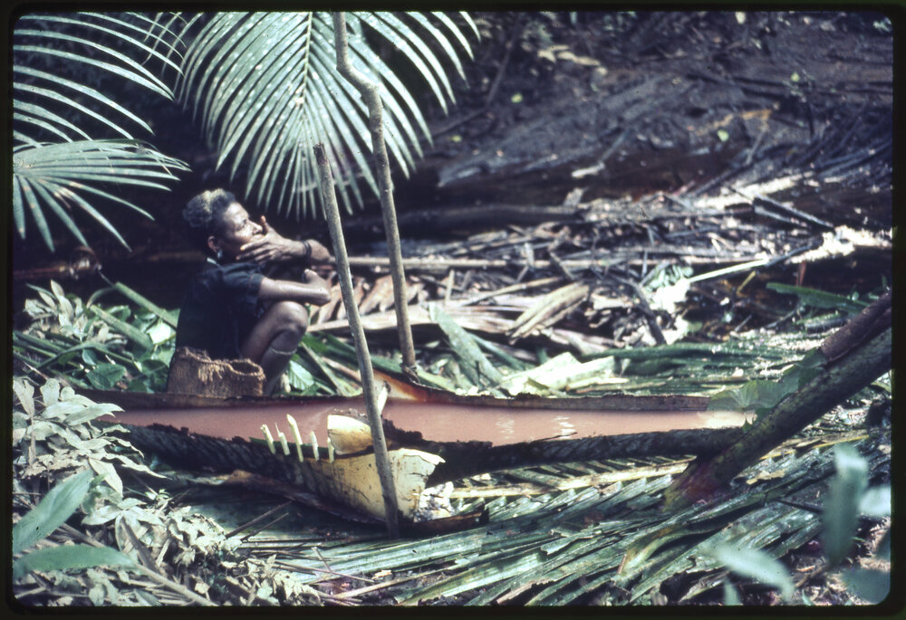 Woman Beside Felled Sago Palm