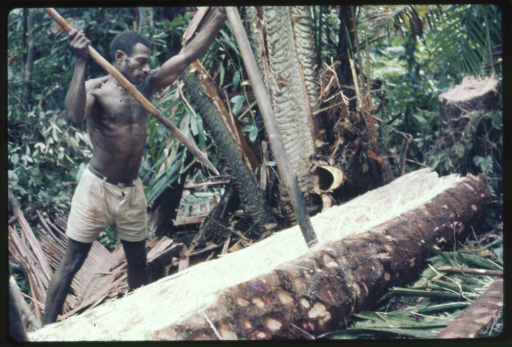 Man Cutting Felled Tree