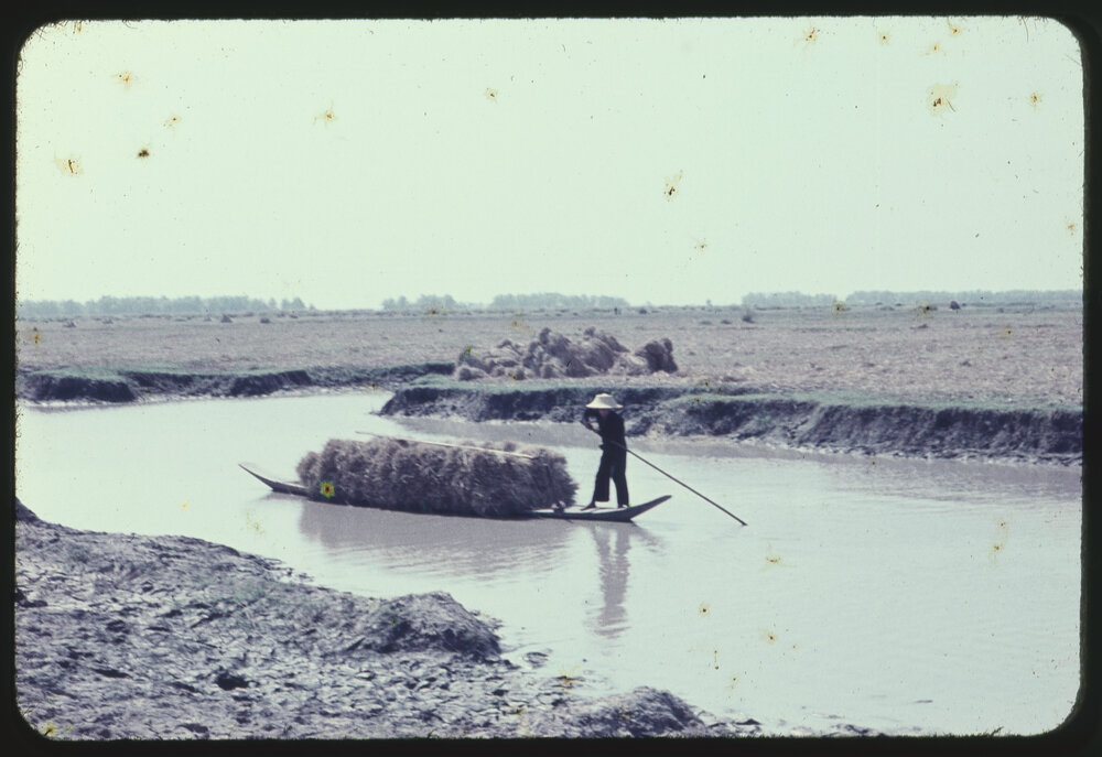 Bringing in Hay, Thailand