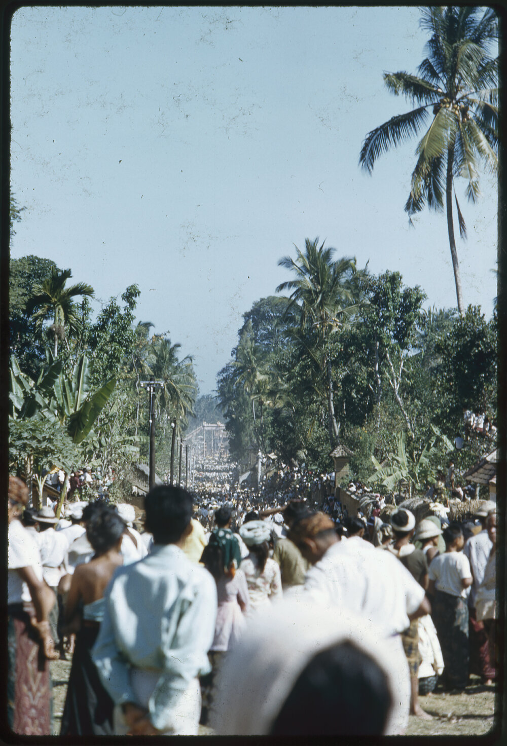 Crowd at Ngaben