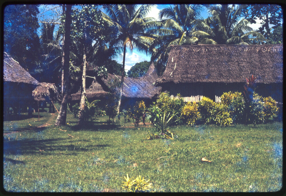 Houses and Garden