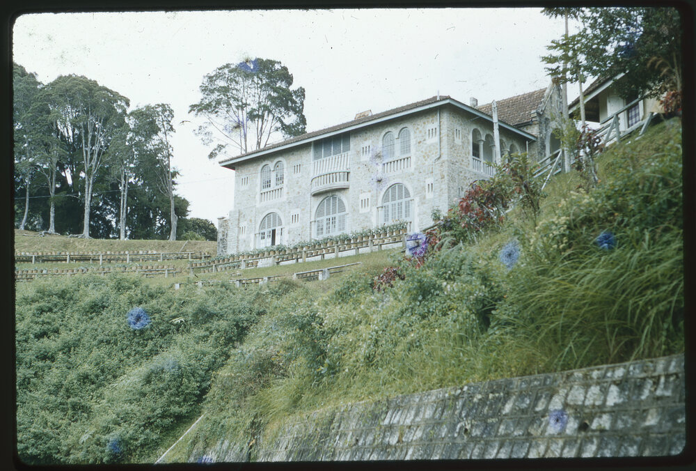 House on Hillside