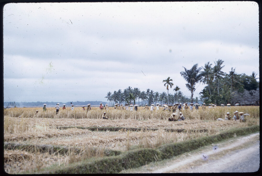 Group of People Gathered in a Field