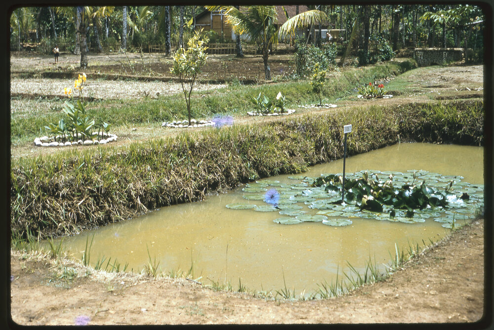 Rectangular Pond