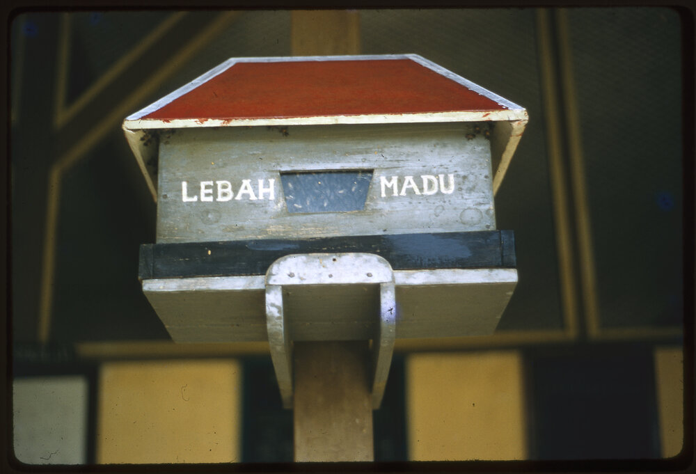 Beehive, Malaysia
