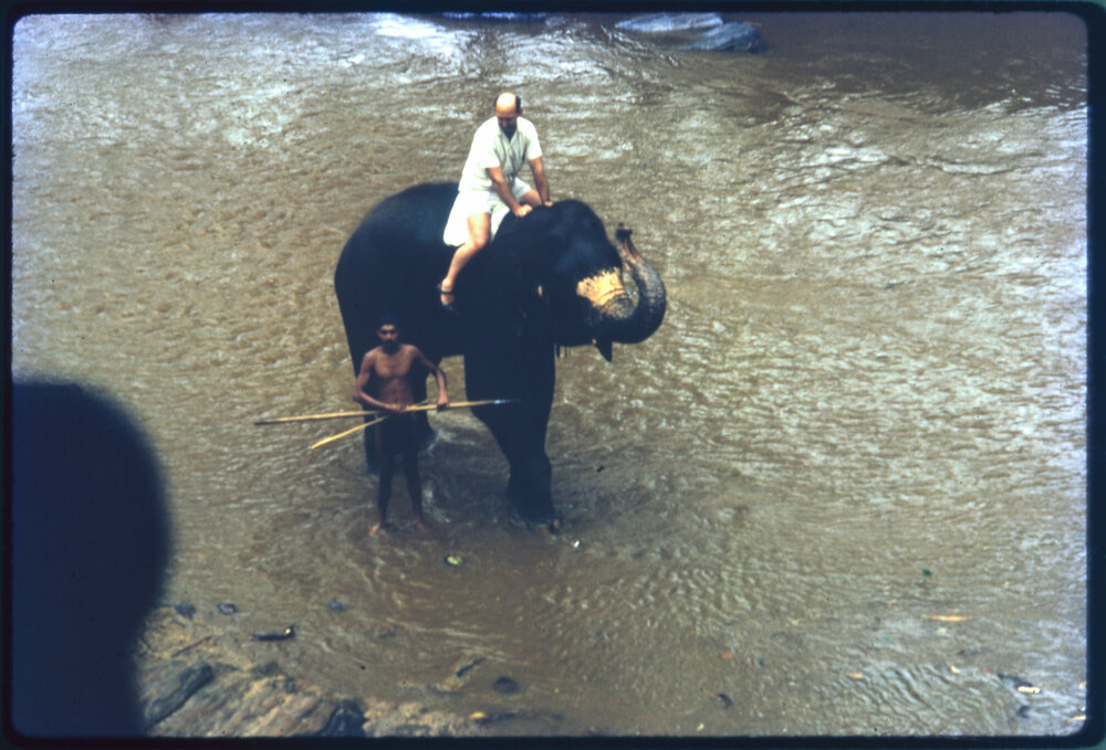 Two Men with an Elephant