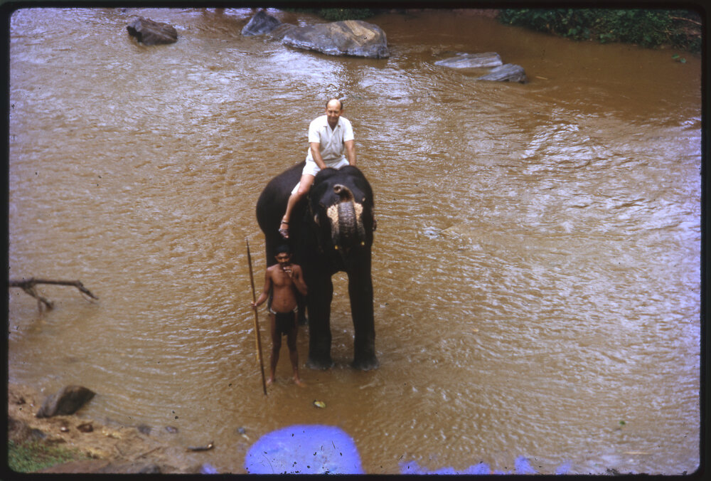 Two Men with an Elephant