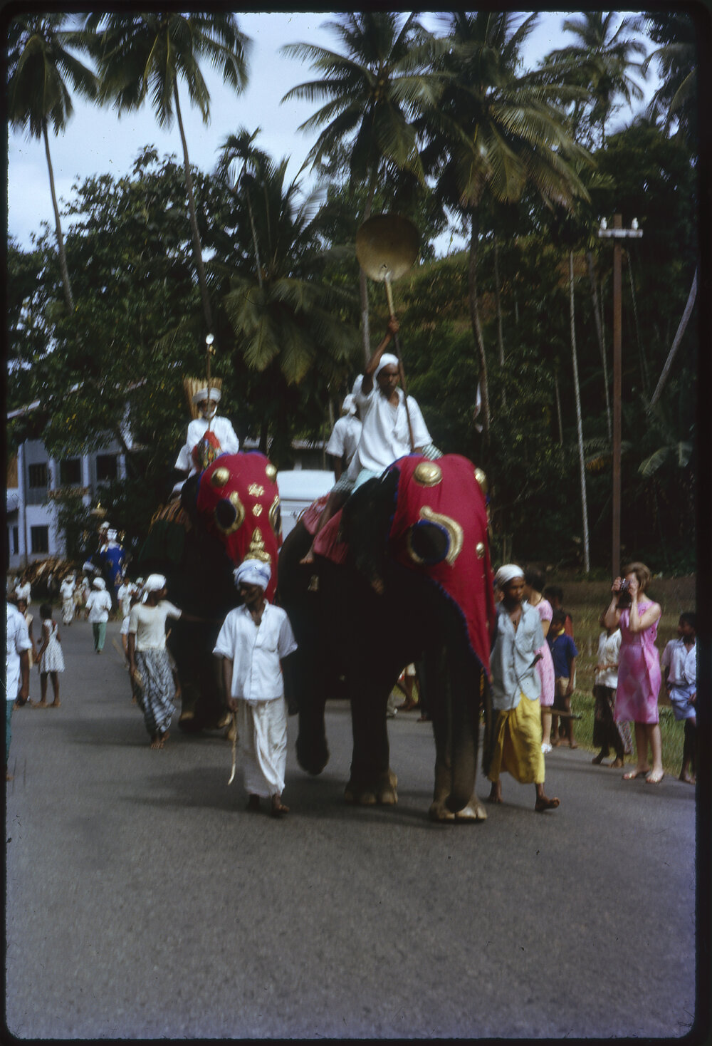 Procession with Elephants