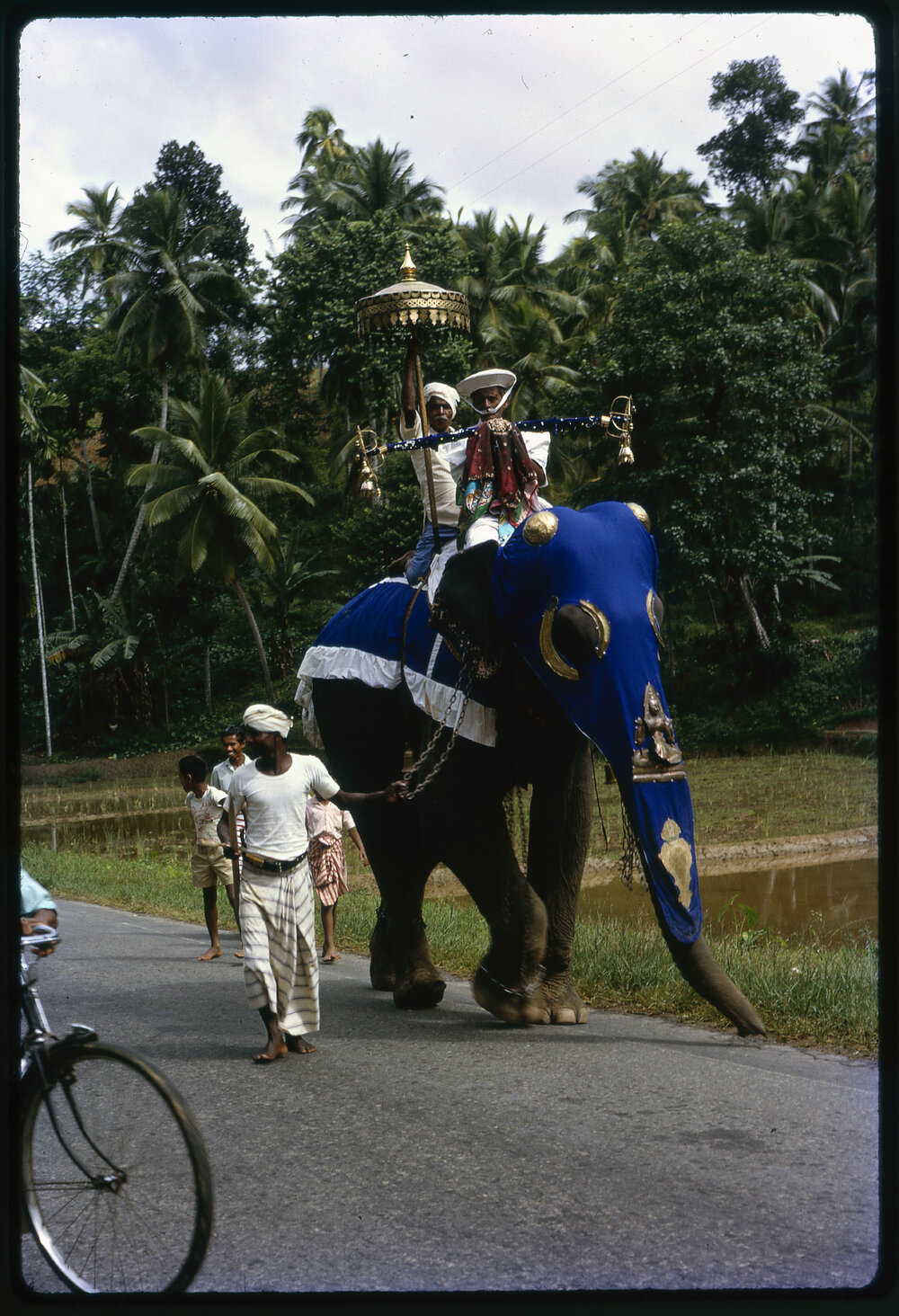 Procession with Elephants