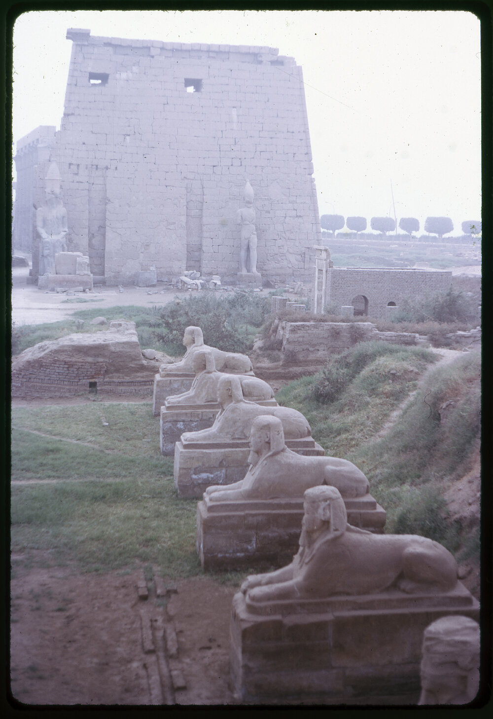 Avenue of Sphinxes, Luxor Temple