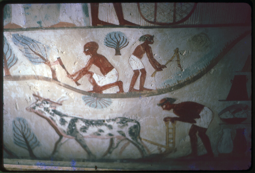 Hieroglyphic at the Valley of the Kings