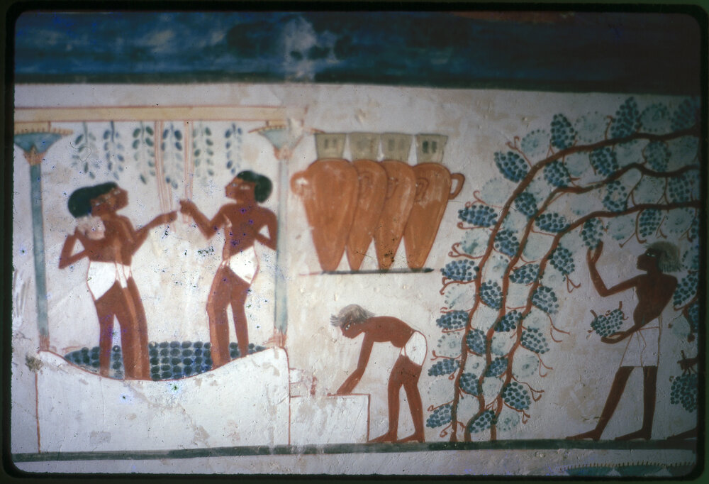 Hieroglyphic at the Valley of the Kings