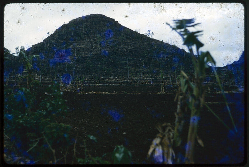 Hill with Terraced Fields Below