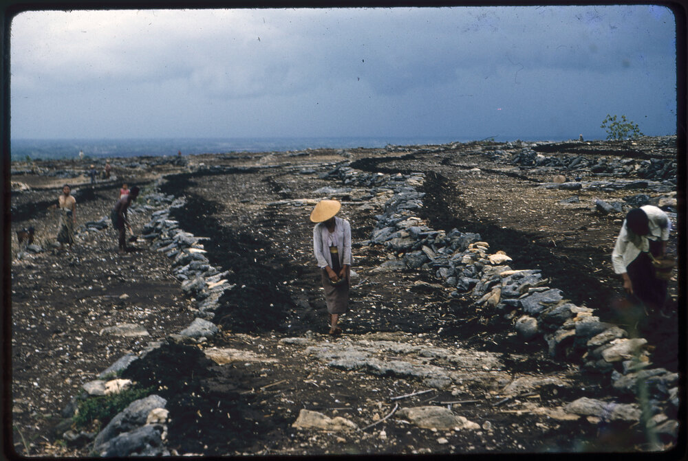 Group Standing on Rocky Landscape