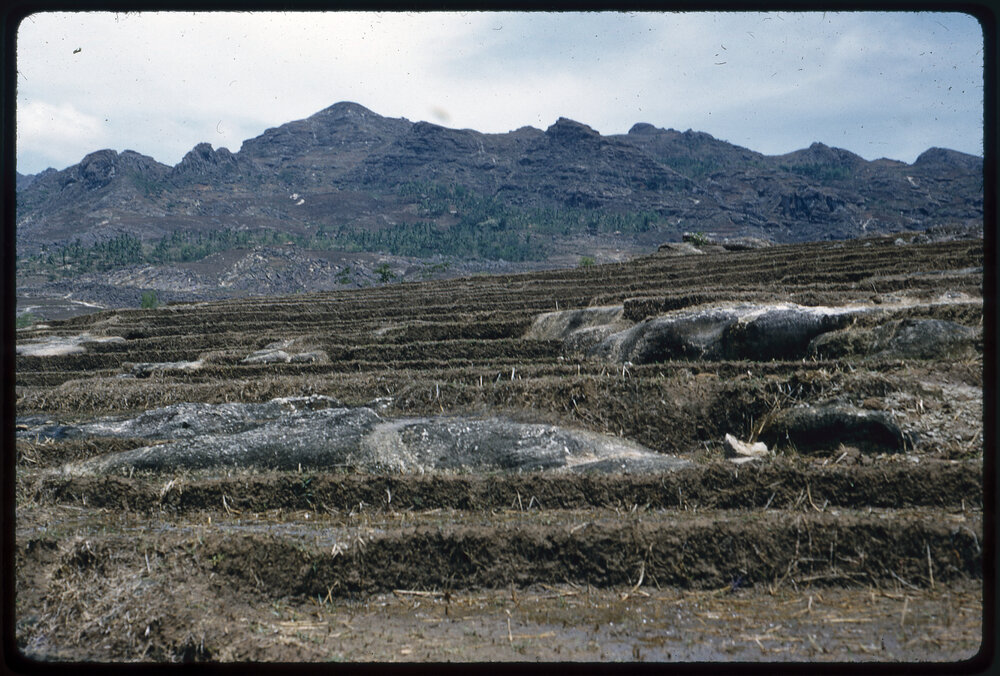 Terraced Land