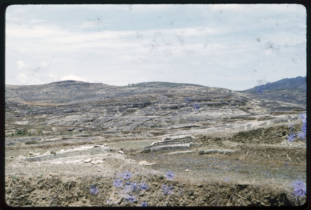 Rocky Landscape