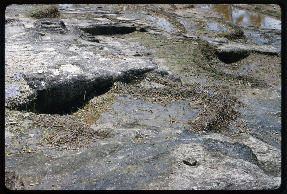 Terraced Land