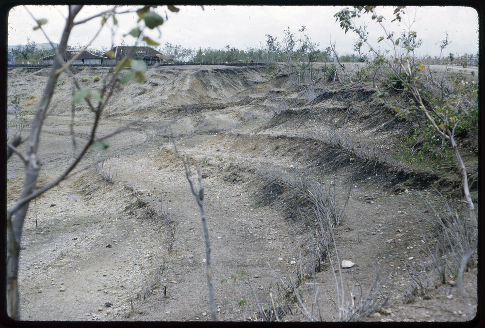 Terraced Land
