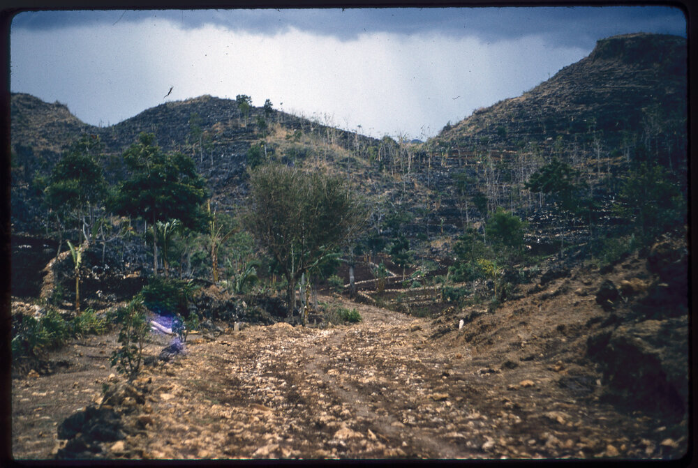 Terraced Hillside