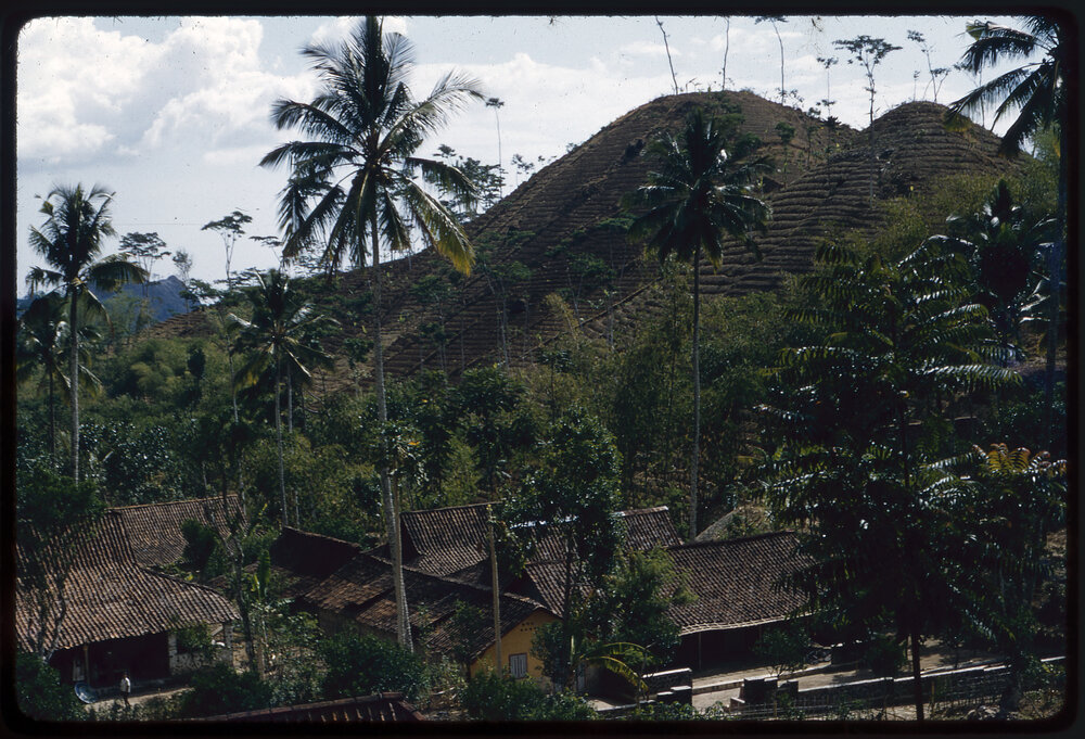 Terraced Hillside with Buildings Below