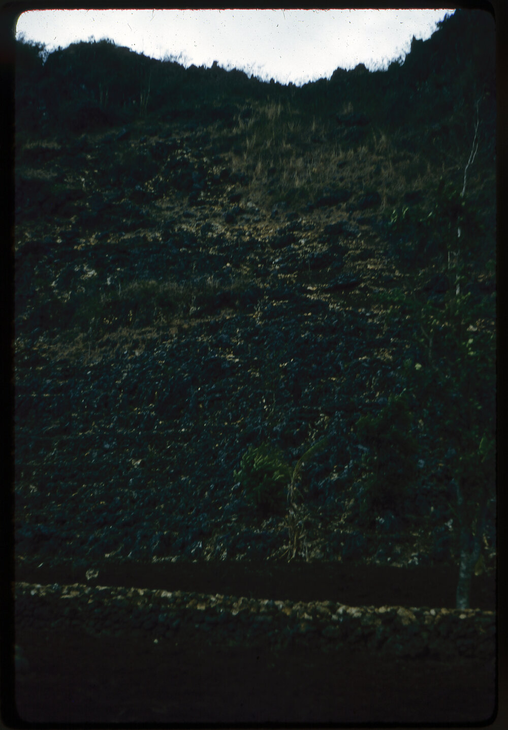 Rocky Landscape