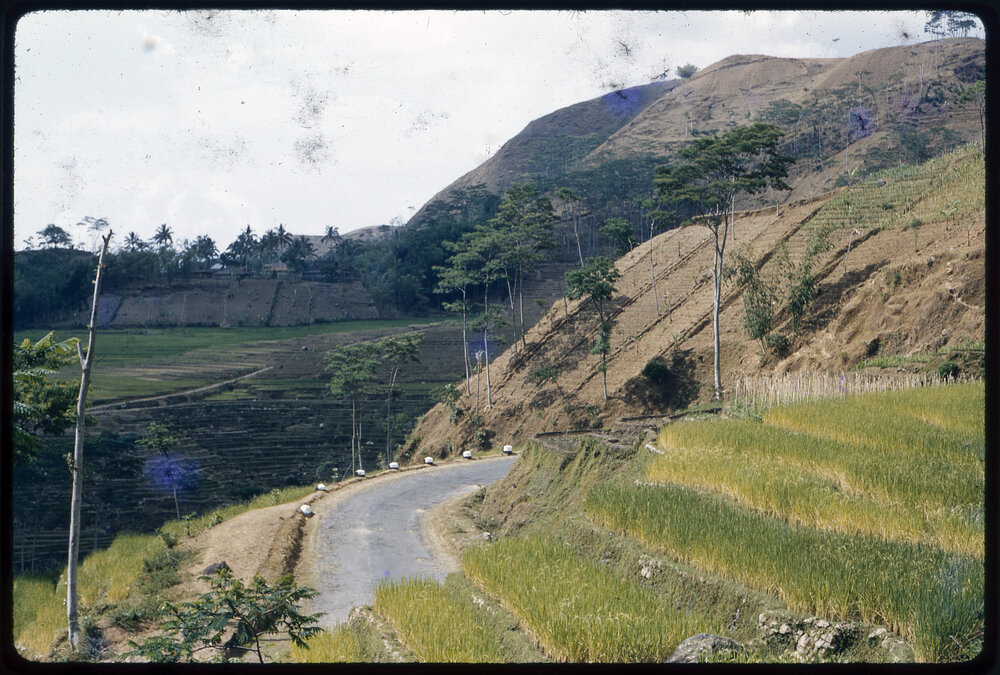 Terraced Hillsides