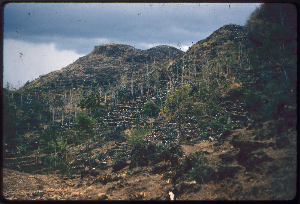 Terraced Hillsides