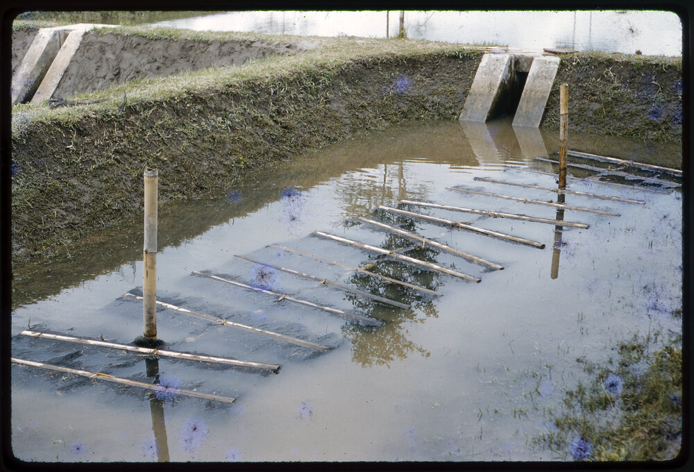 Aquaculture Structure