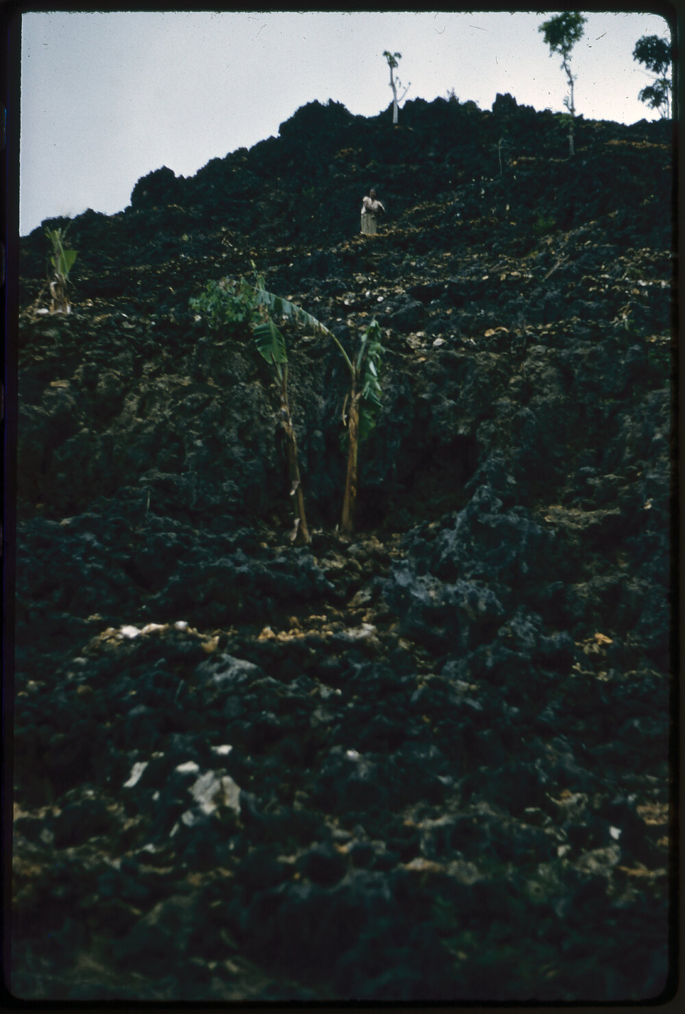 Rocky Hillside