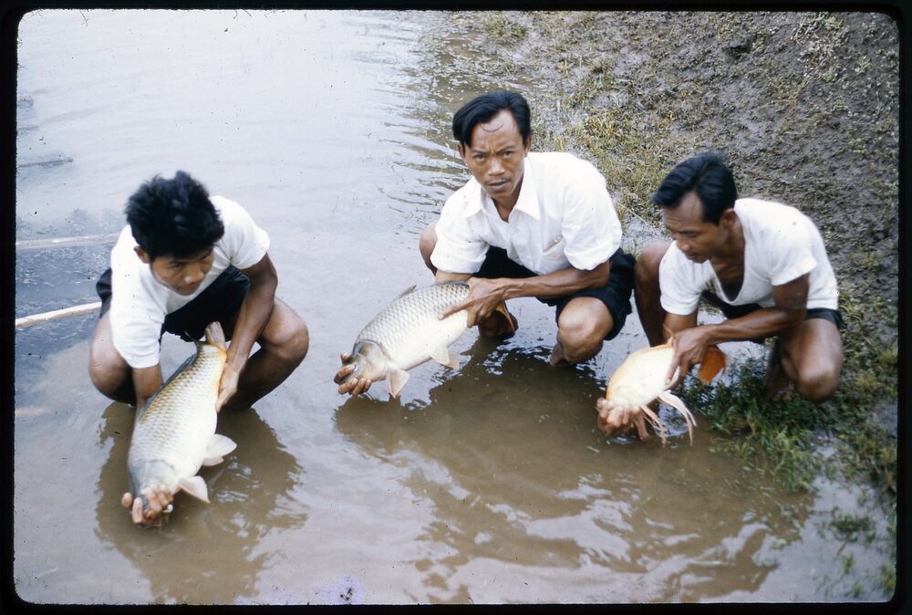 Three Men with Fish