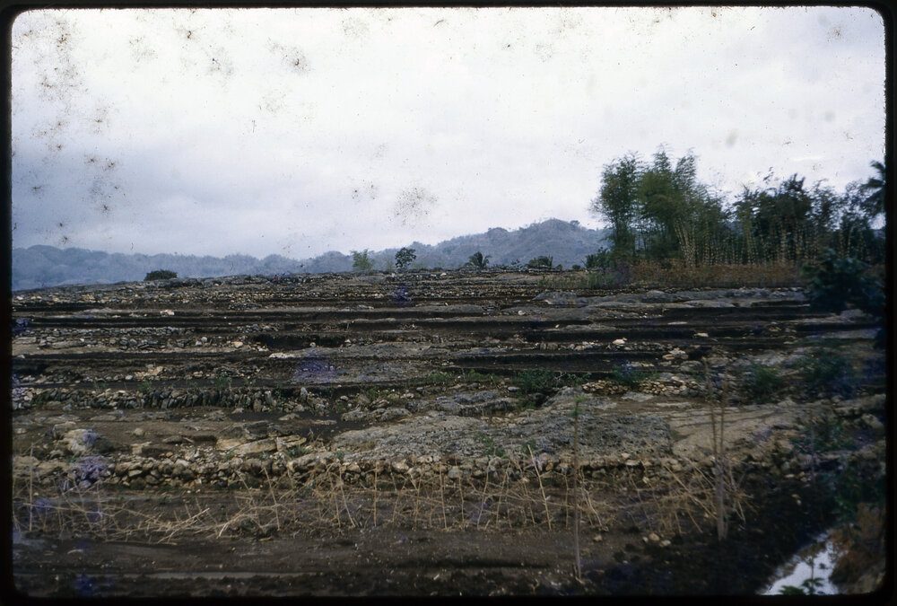 Terraced Landscape
