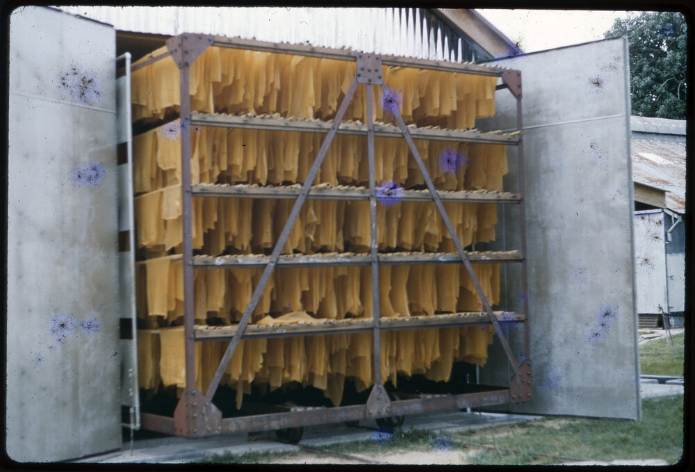 Rubber Sheets on Drying Rack, Malaysia