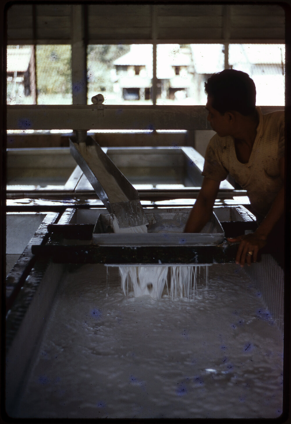 Man Processing Rubber, Malaysia