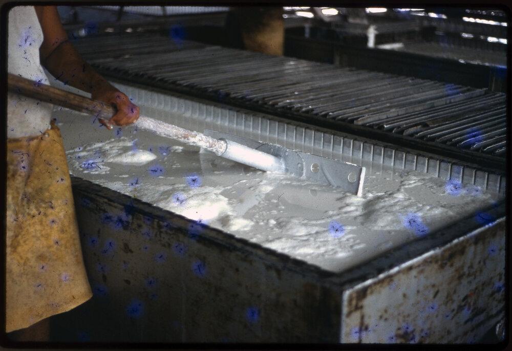 Man Processing Rubber, Malaysia