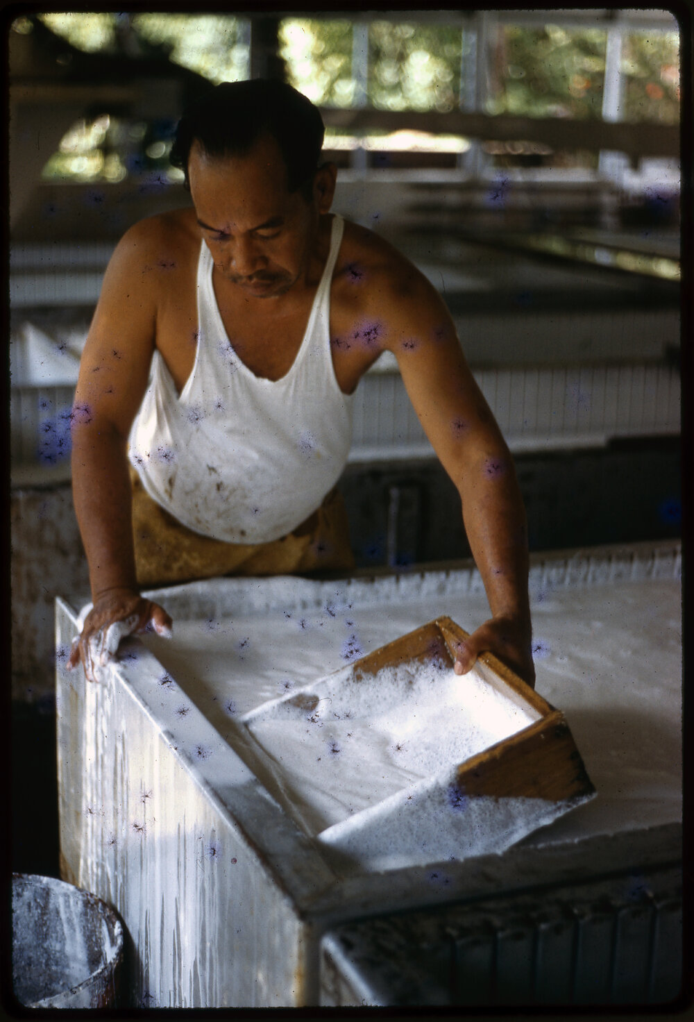 Man Processing Rubber, Malaysia