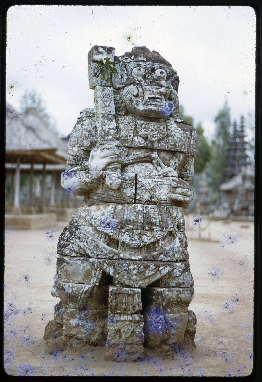 Temple Guardian