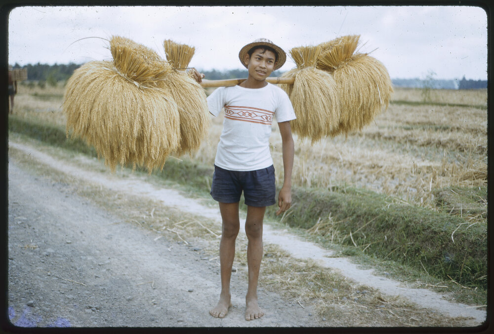 Boy Carrying Wheat Bales