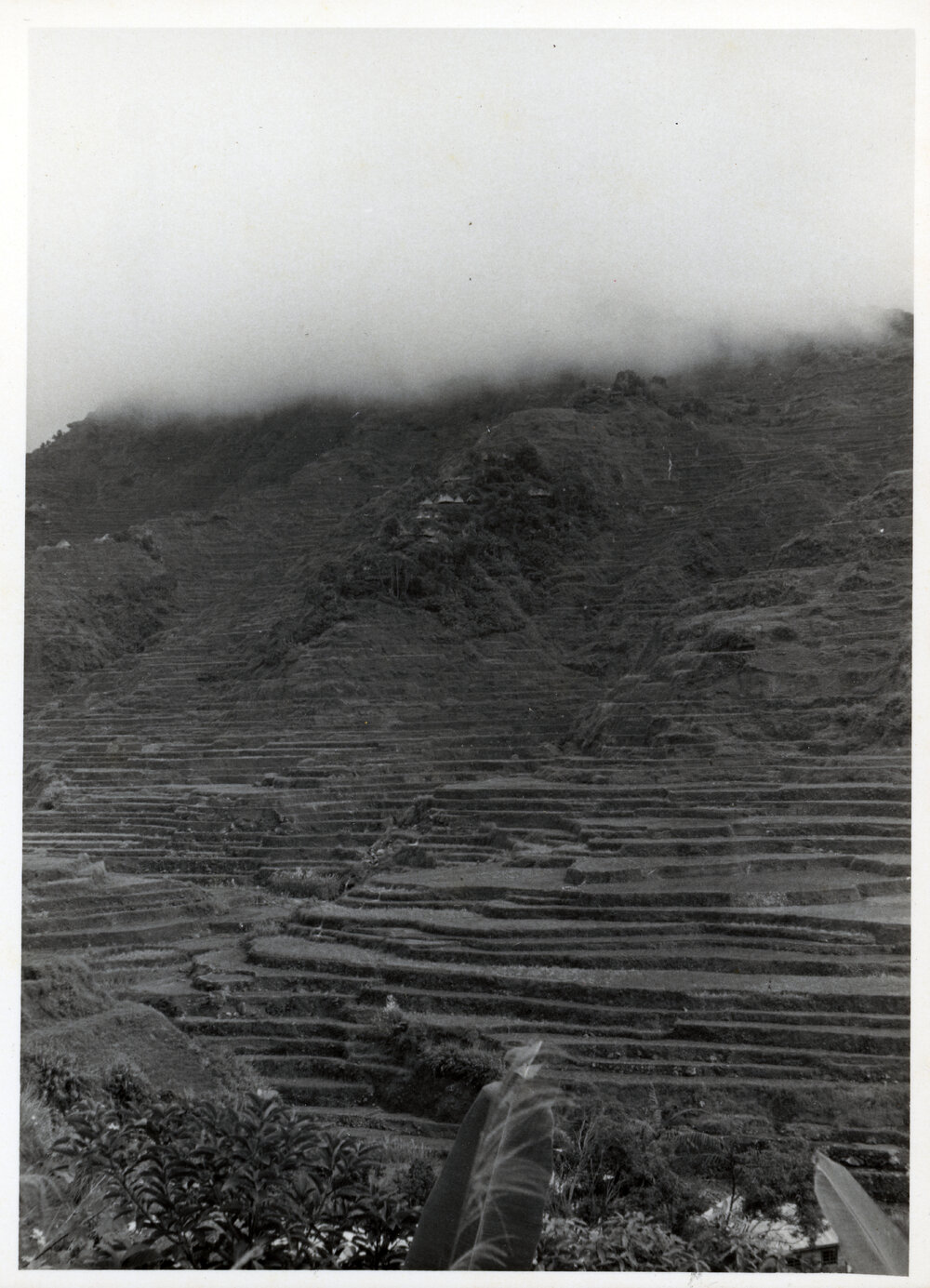 Rice Terraces, Ifugao