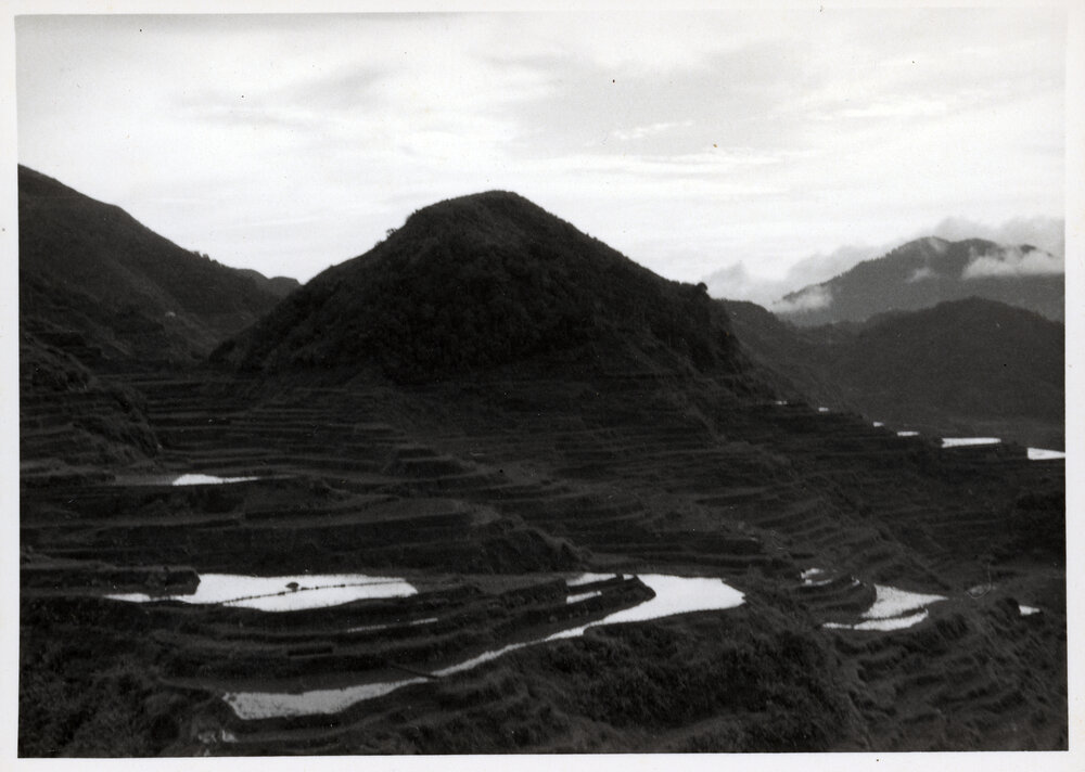 Rice Terraces, Ifugao