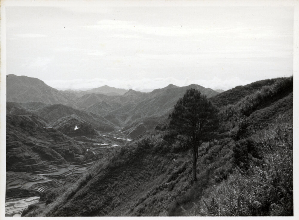 Rice Terraces, Ifugao