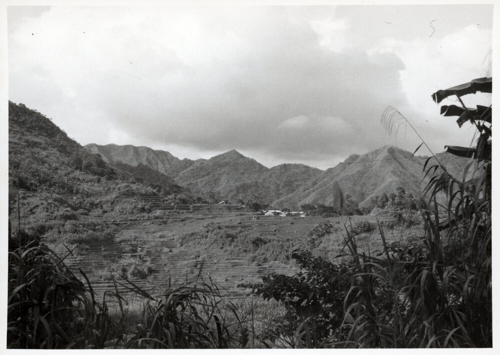 Rice Terraces, Ifugao