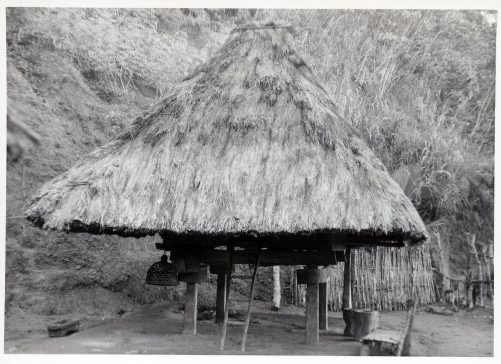 Structure with Thatched Roof