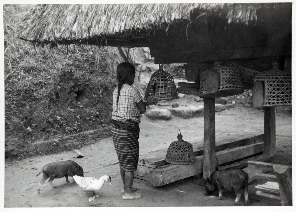 Woman with Livestock