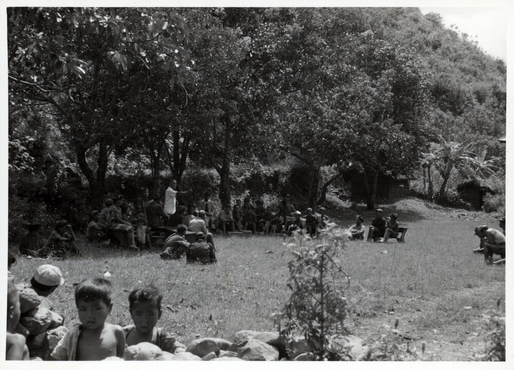 Groups Gathered Beside Trees