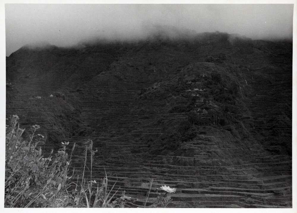 Rice Terraces, Ifugao