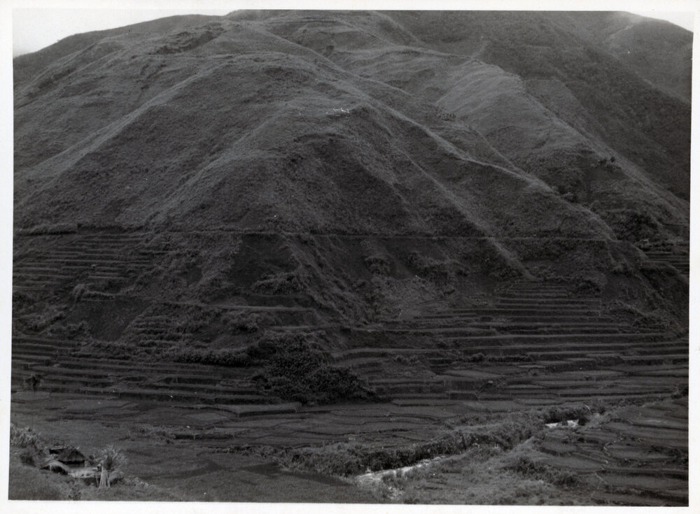 Rice Terraces, Ifugao