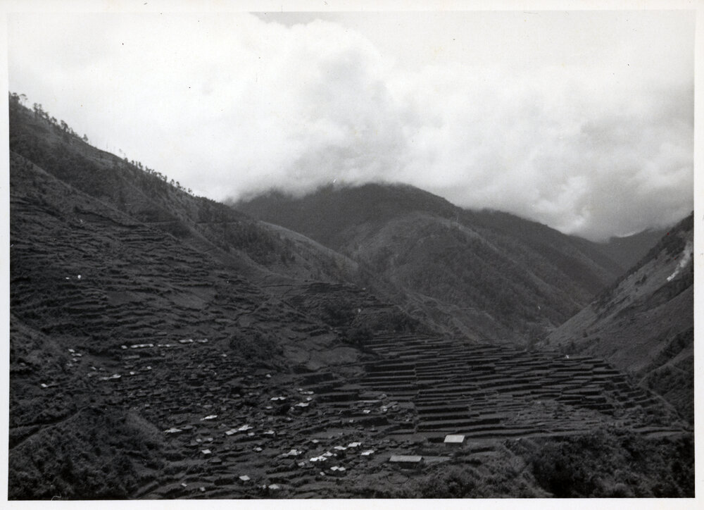 Rice Terraces, Ifugao