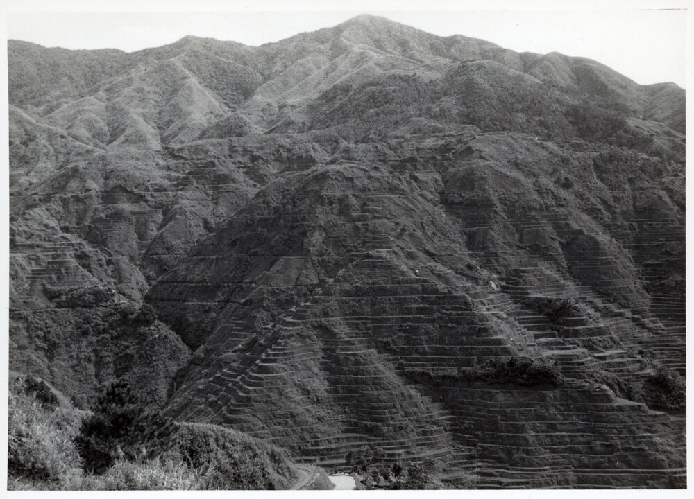 Rice Terraces, Ifugao